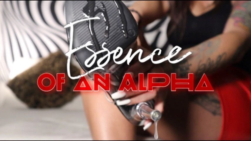 Essence Of An Alpha HD