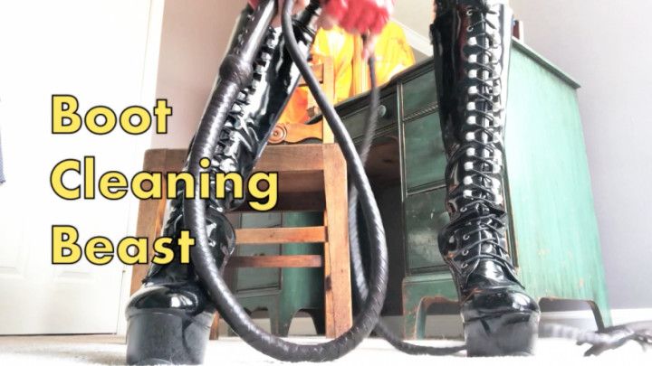Boot Cleaning Beast
