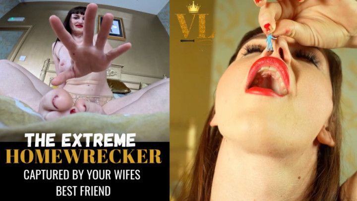 THE EXTREME HOMEWRECKER