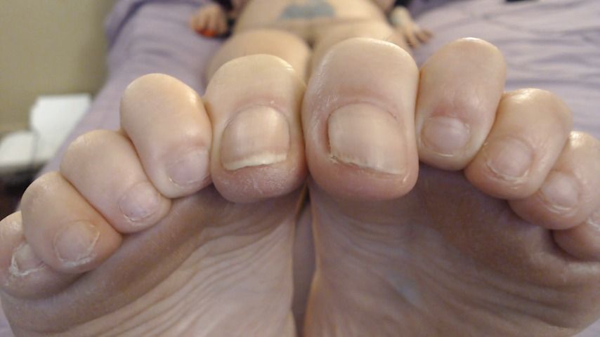 Extreme Closeup Toenails