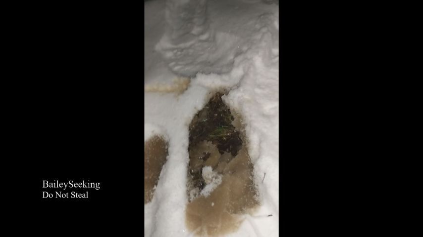 Fun Snow Day Pee