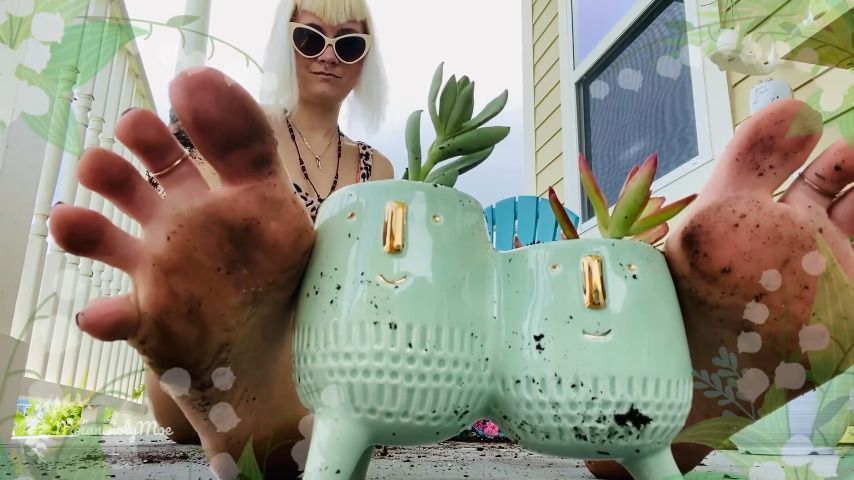 Gardening Goddess IV: Succulent Soles