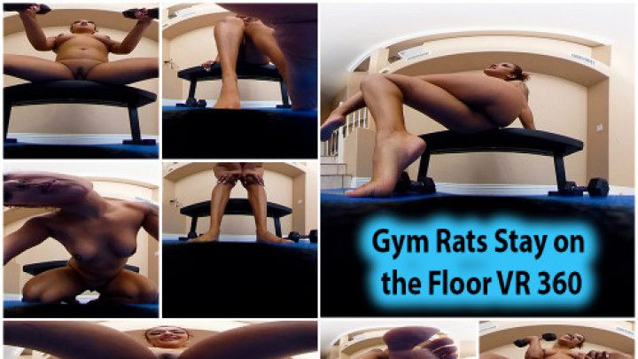 Gym Rats Stay on the Floor VR 360