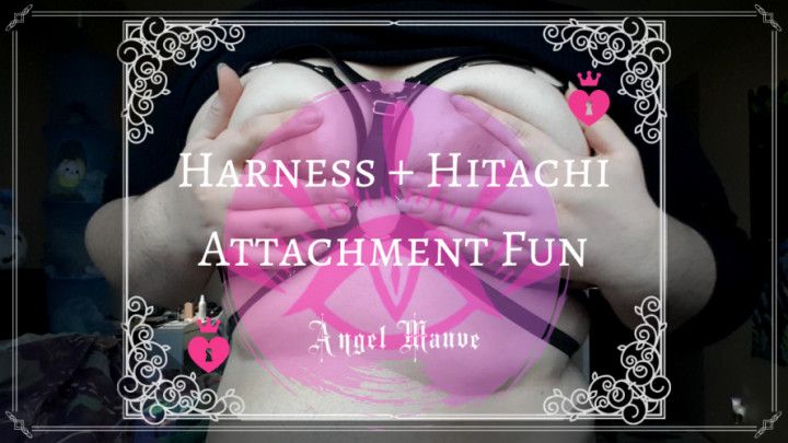 Harness + Hitachi Attachment