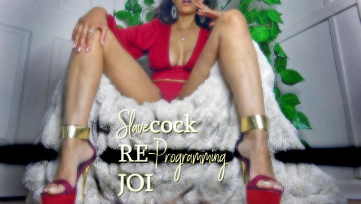 Slavecock RE-Programming JOI