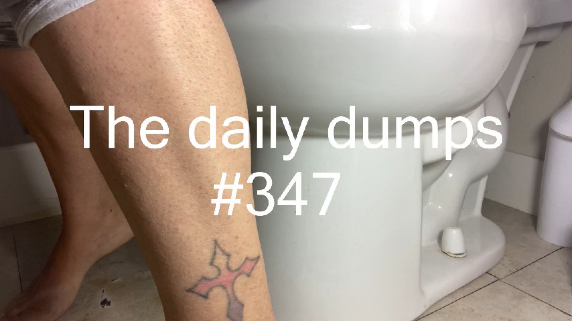 The daily dumps #347