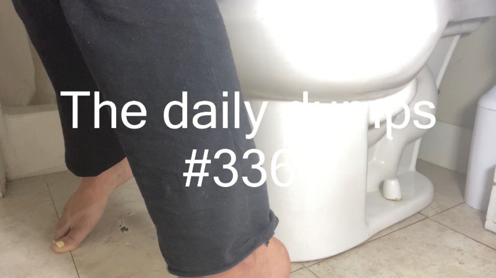 The daily dumps #336