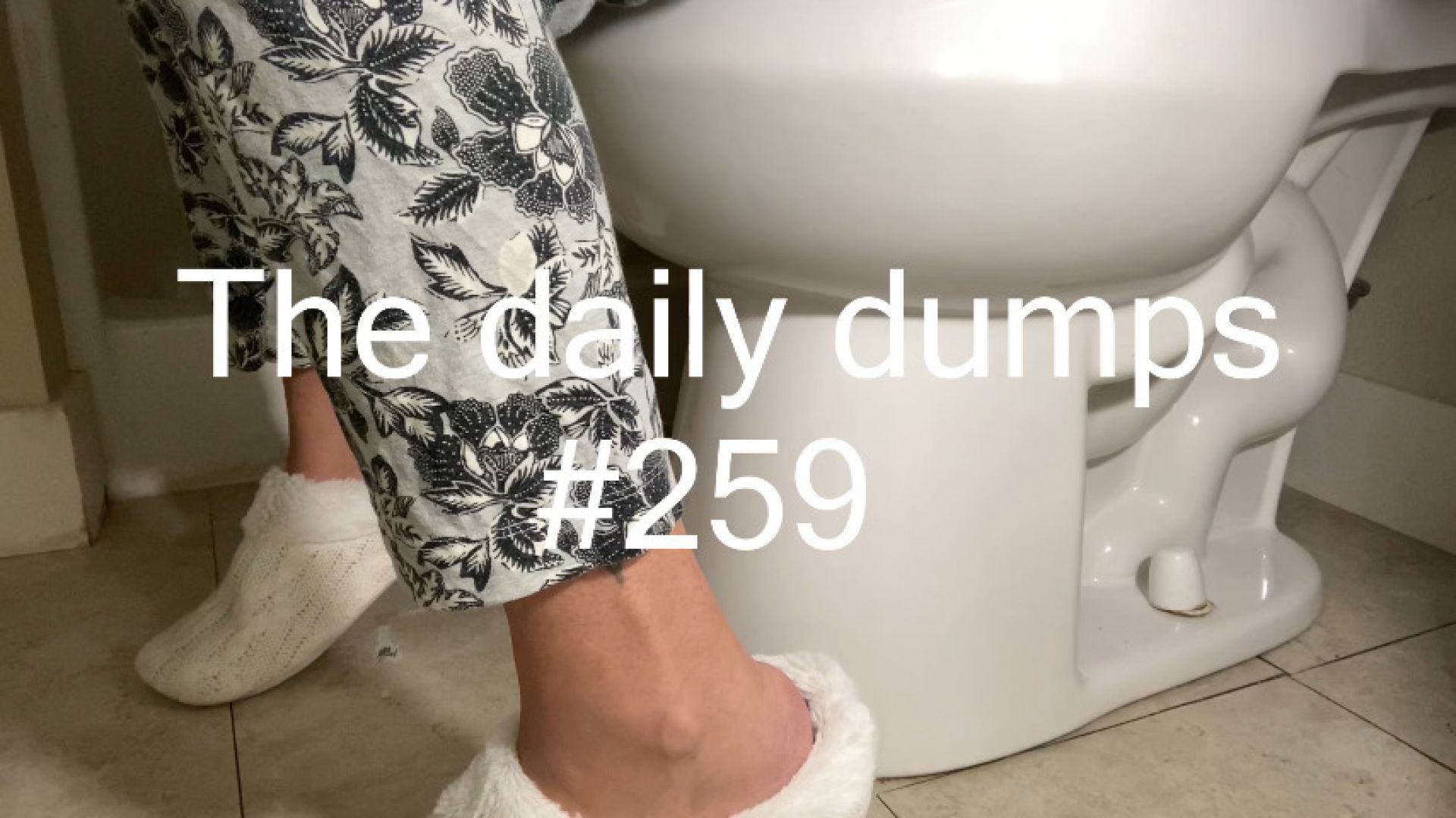 The daily dumps #259