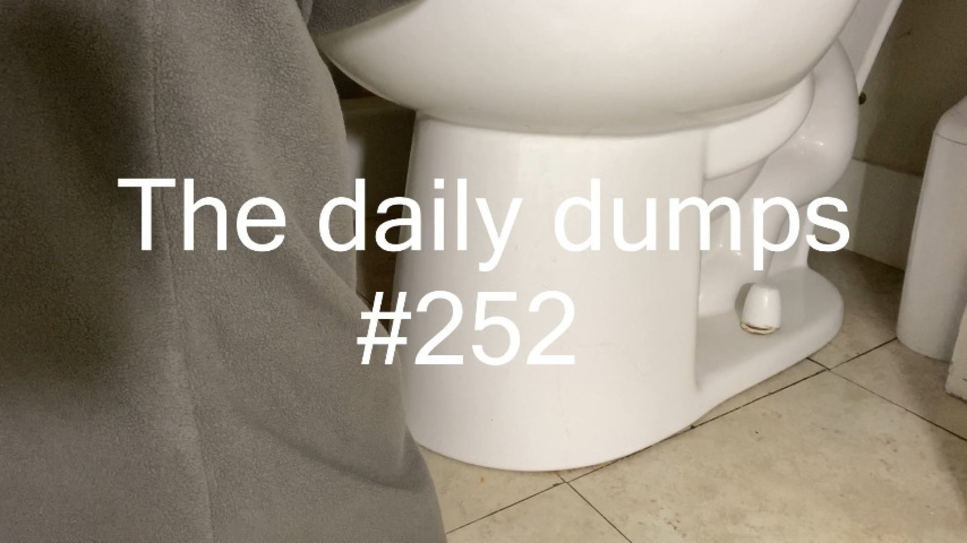 The daily dumps #252