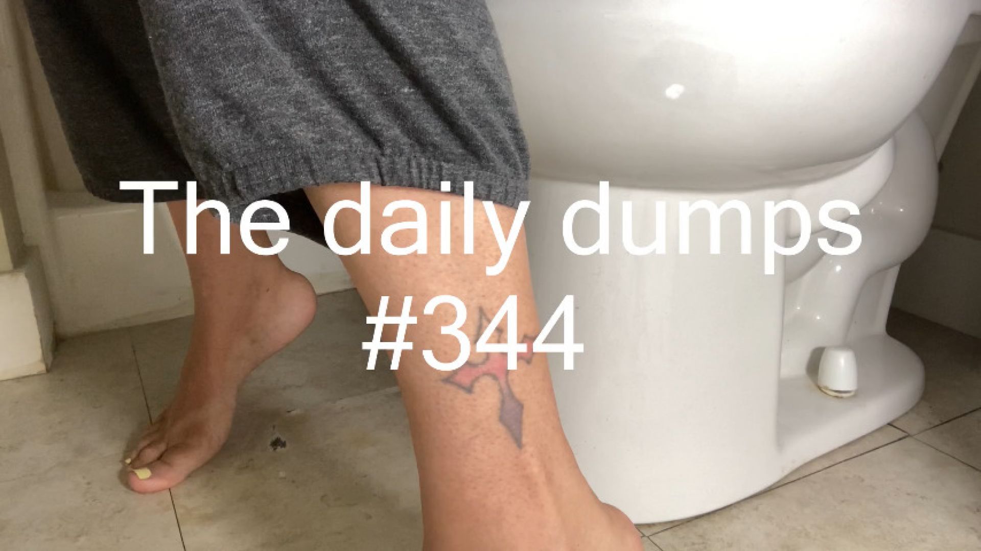 The daily dumps #344