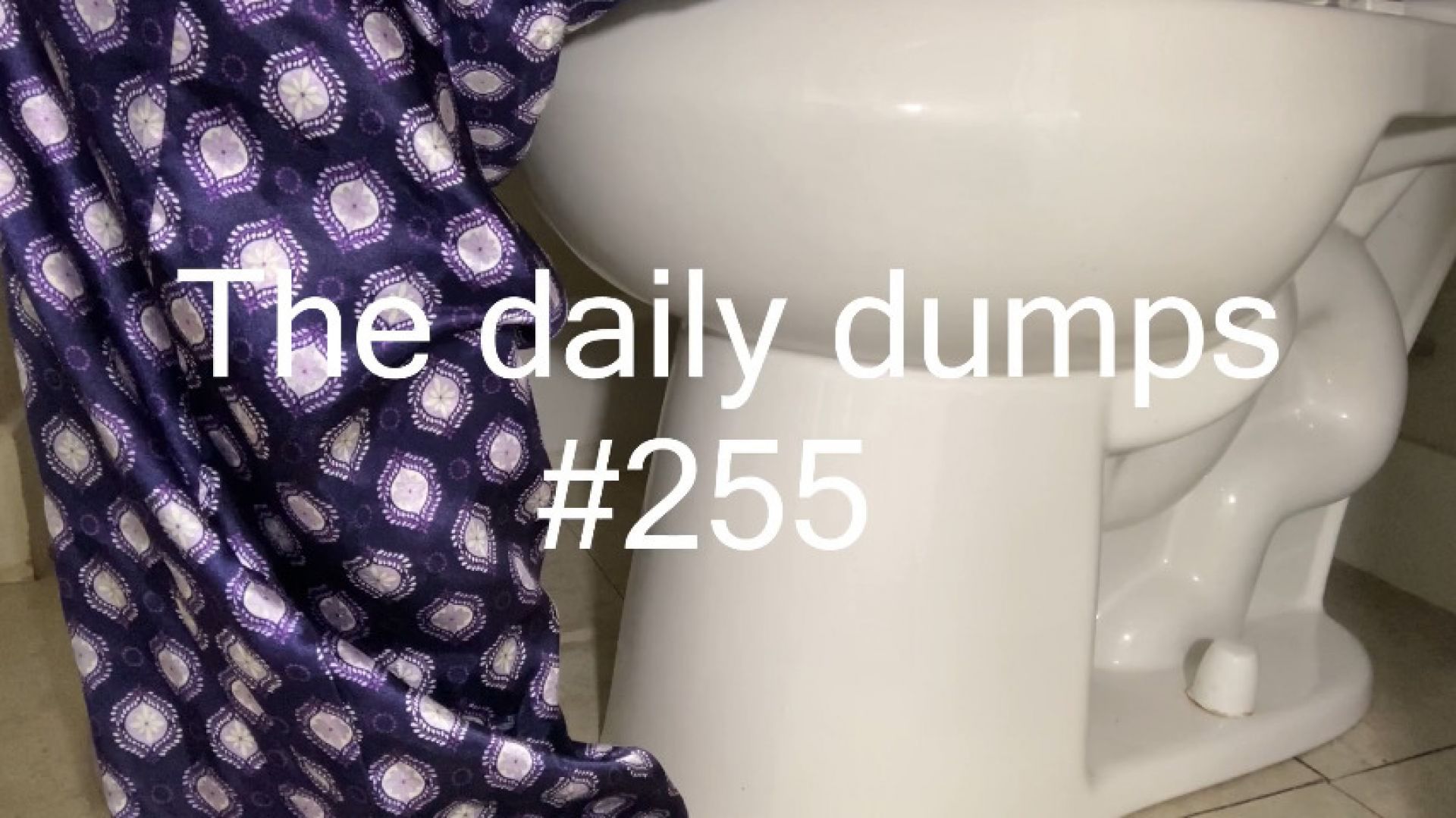 The daily dumps #255