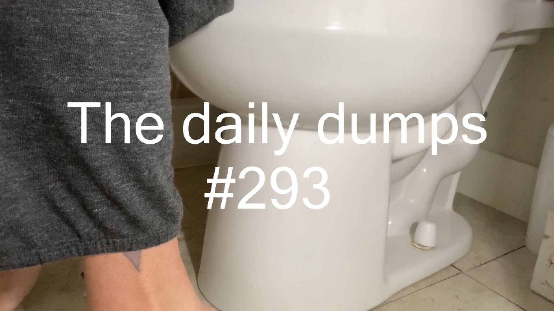 The daily dumps #293