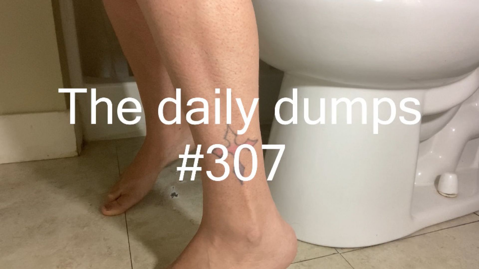 The daily dumps #307
