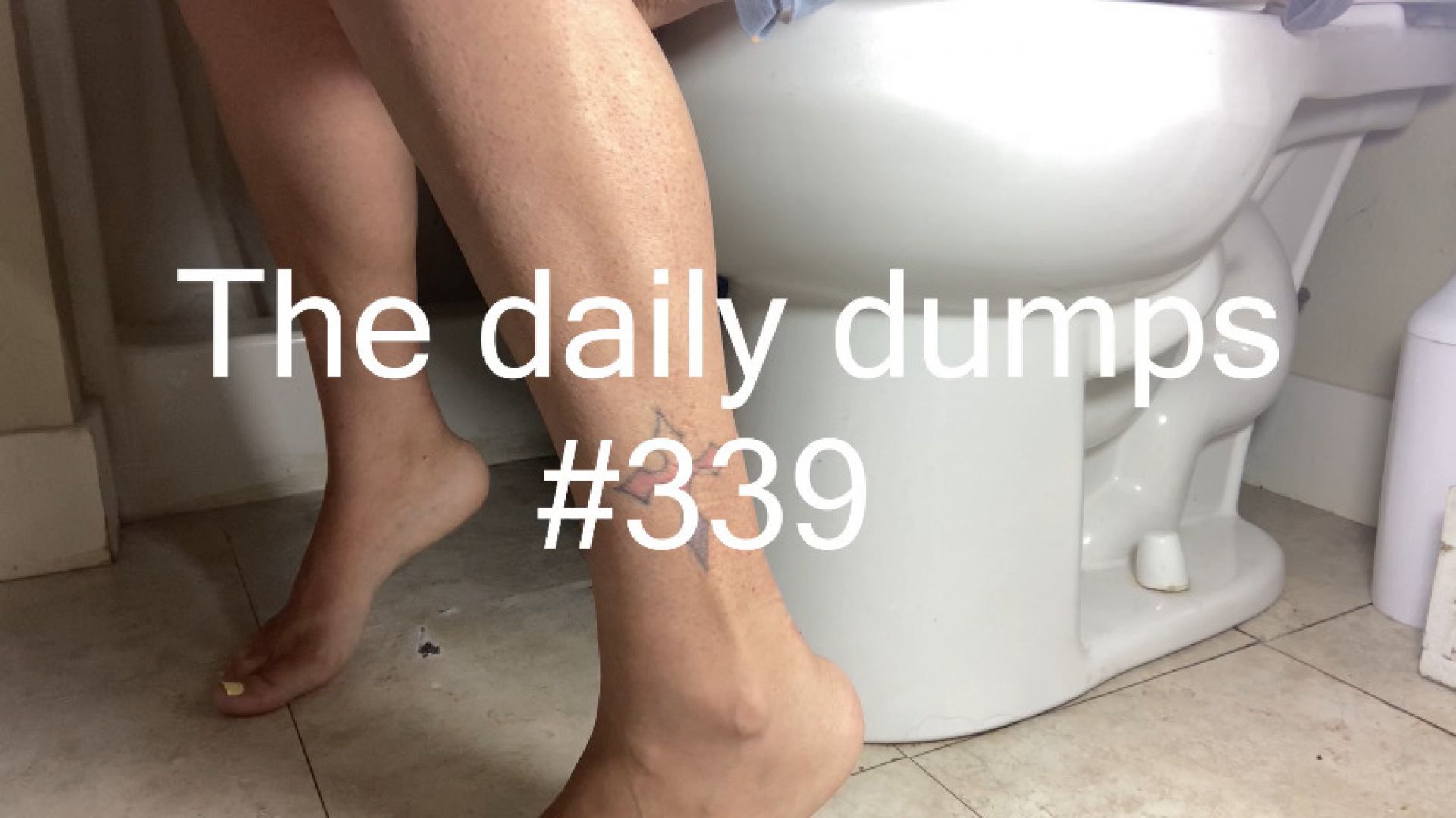 The daily dumps #339