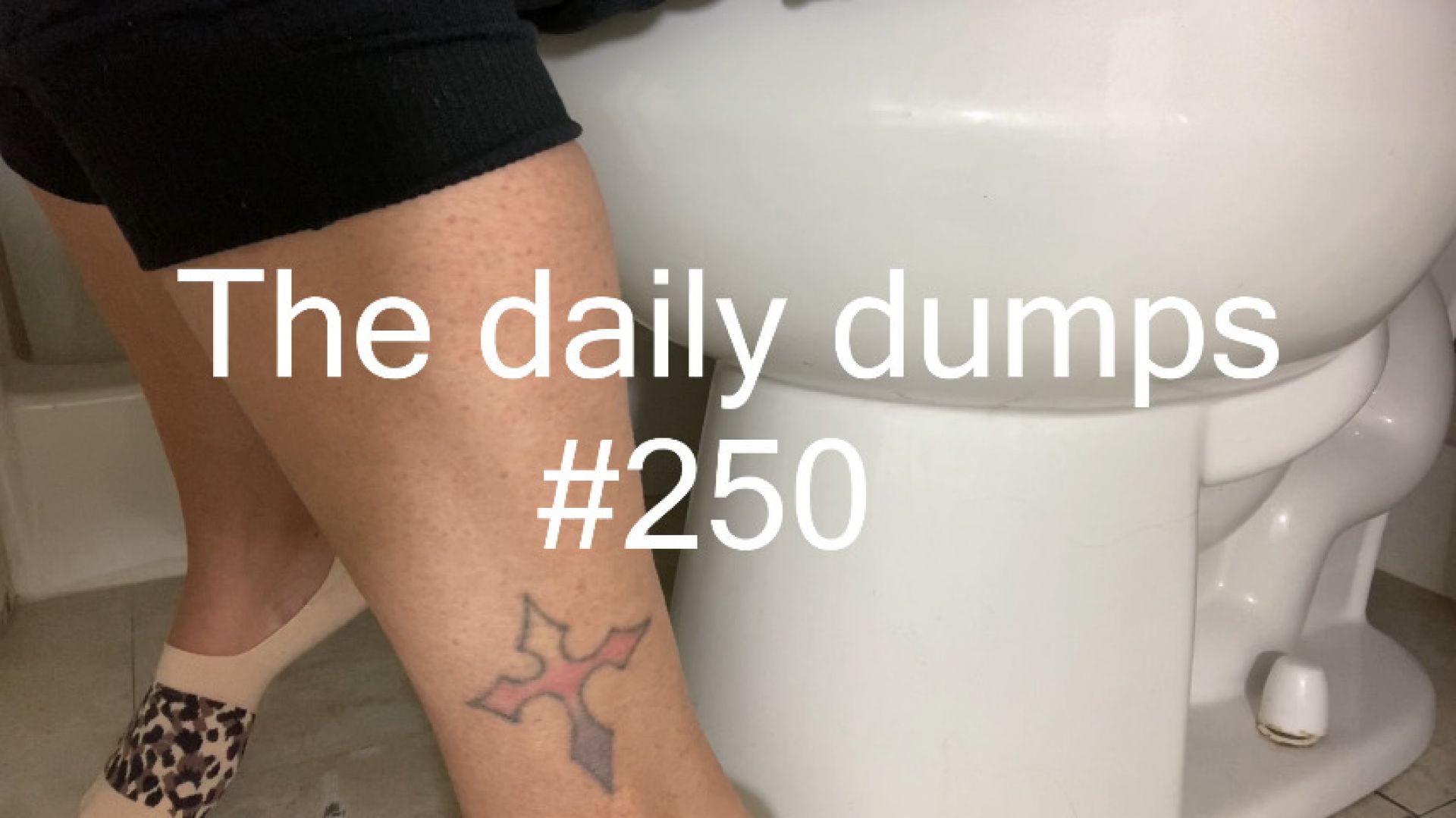 The daily dumps #250