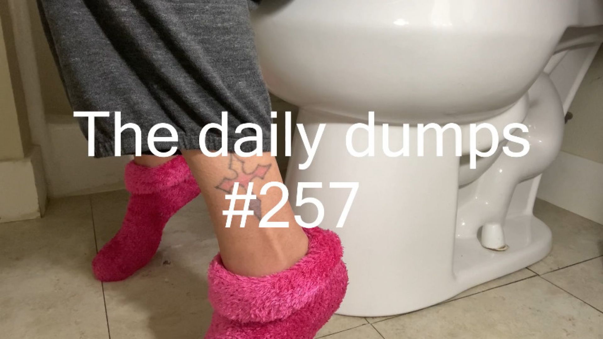 The daily dumps #257