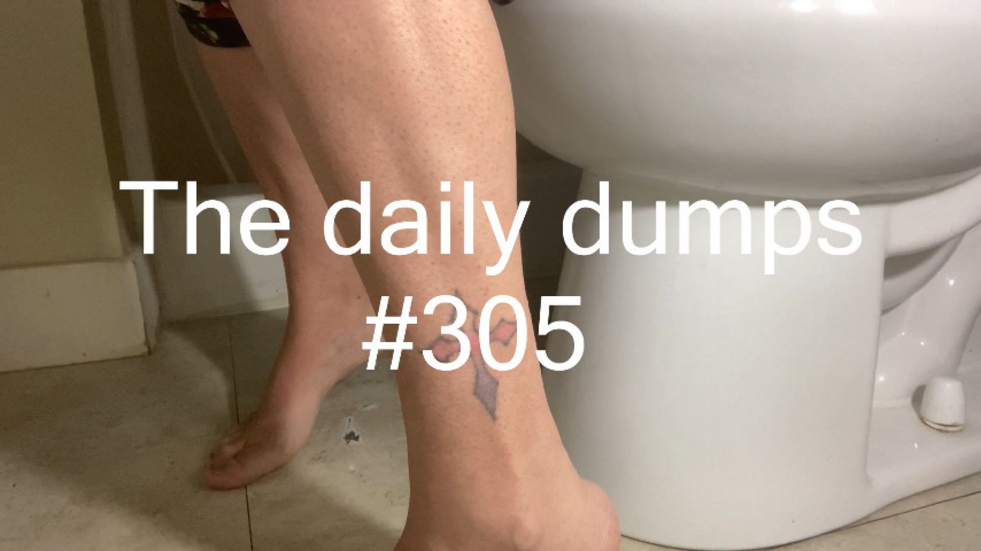 The daily dumps #305