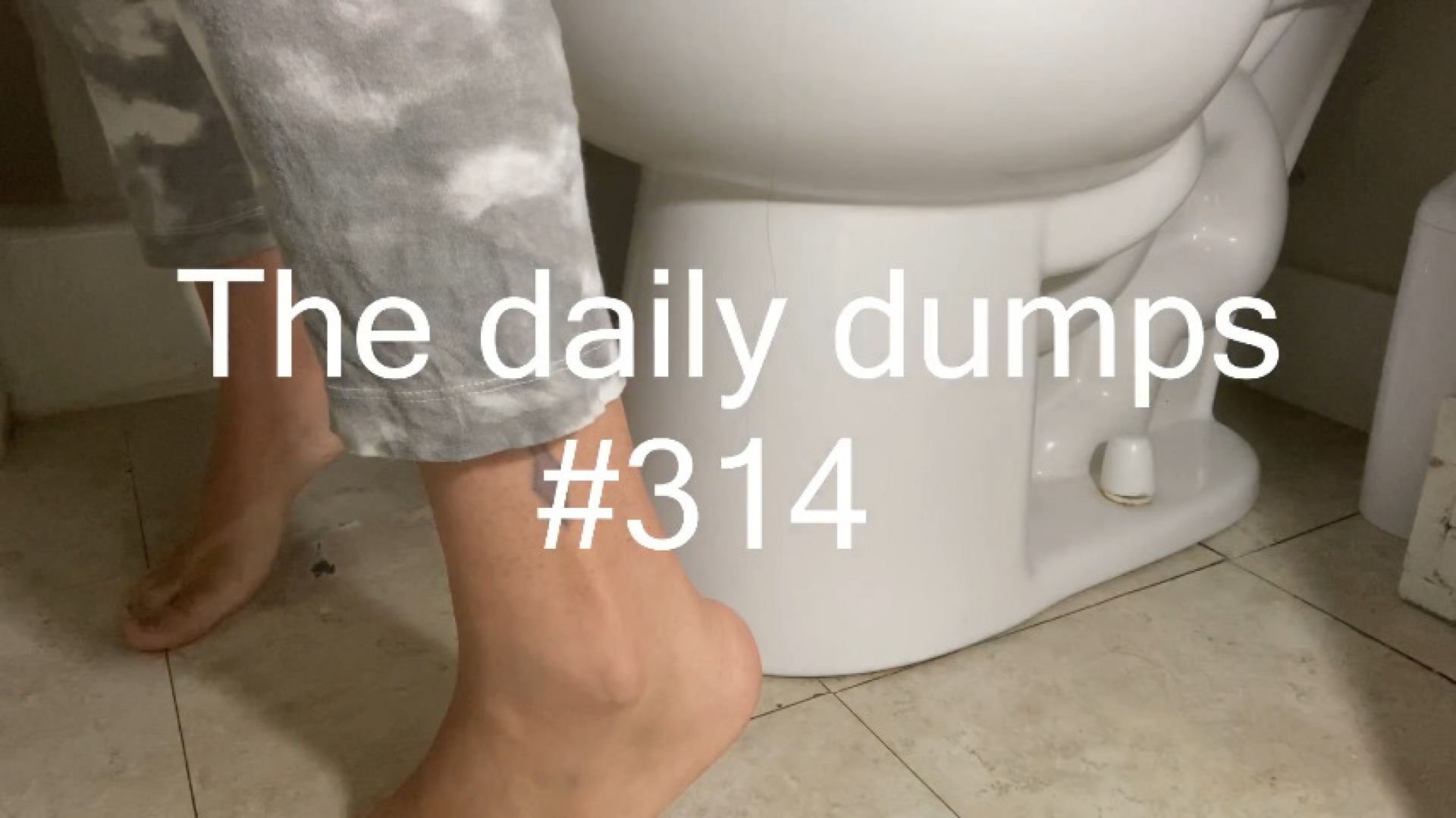 The daily dumps #314