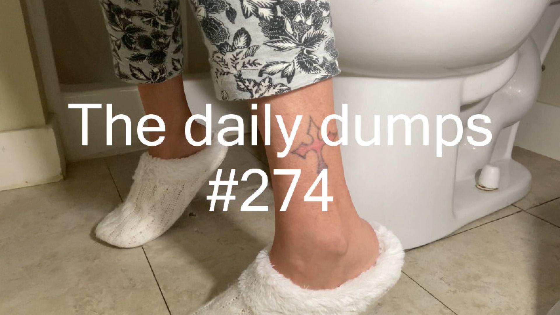 The daily dumps #274