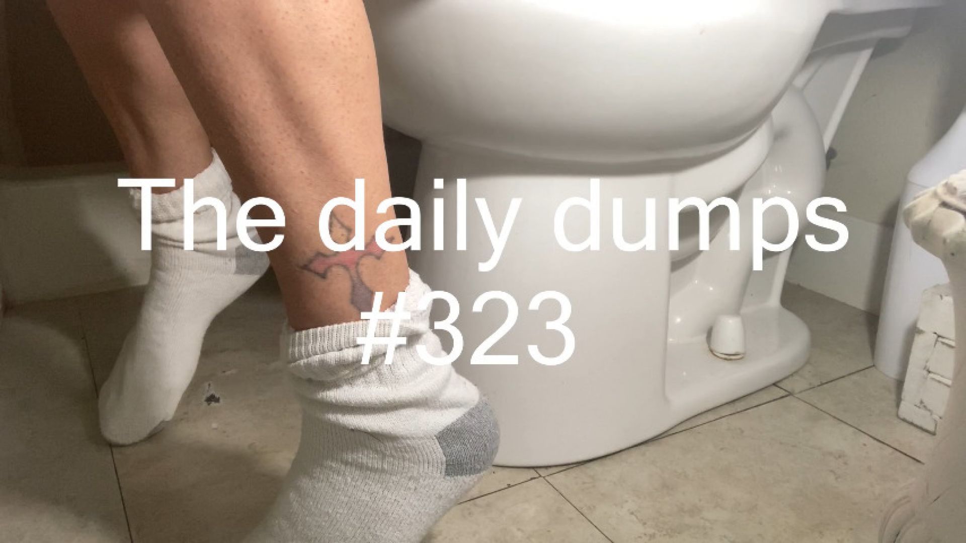 The daily dumps #323