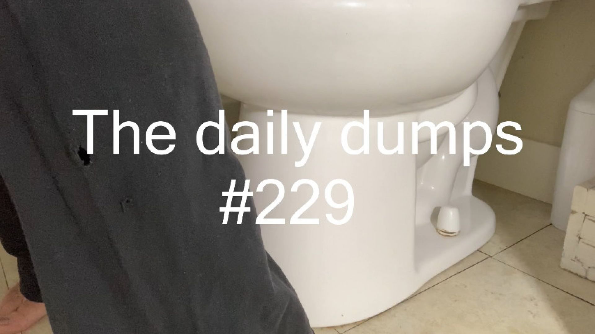 The daily dumps #229