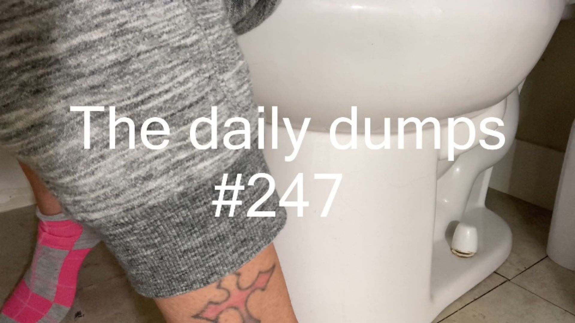 The daily dumps #247