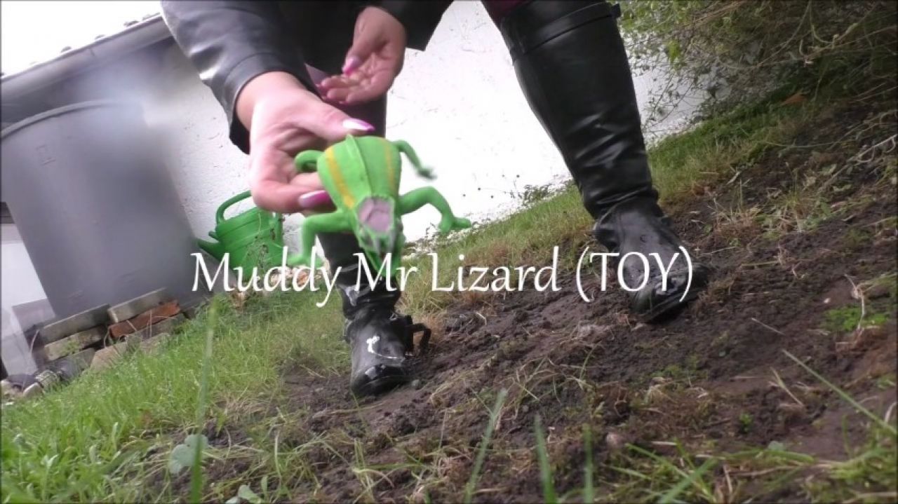 Muddy Mr Lizard Toy