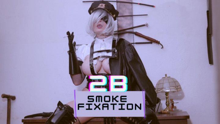 2B Smoke Fixation