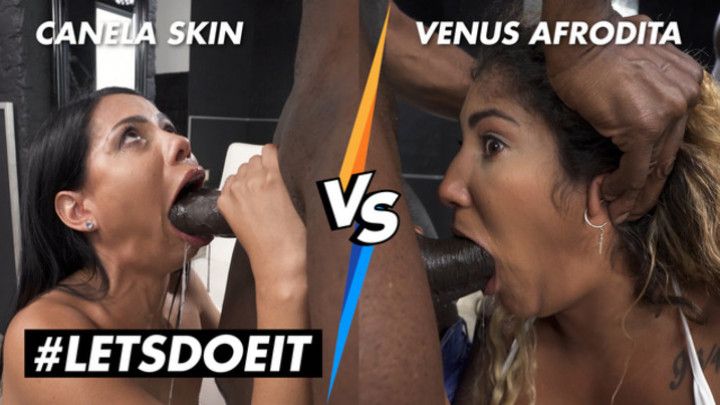 Canela Skin VS Venus Afrodita