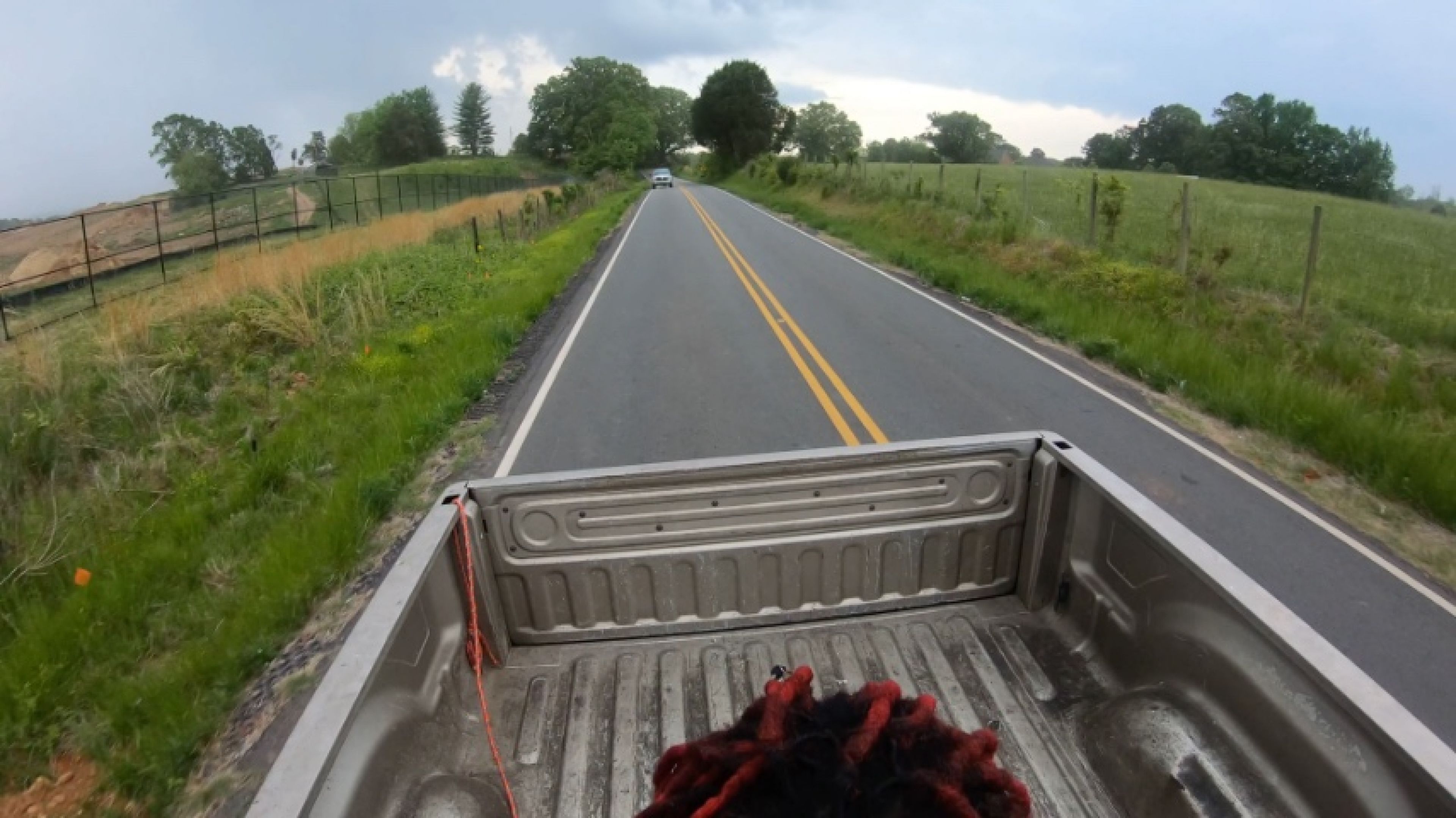 Sucking Dick on the back of a Truck