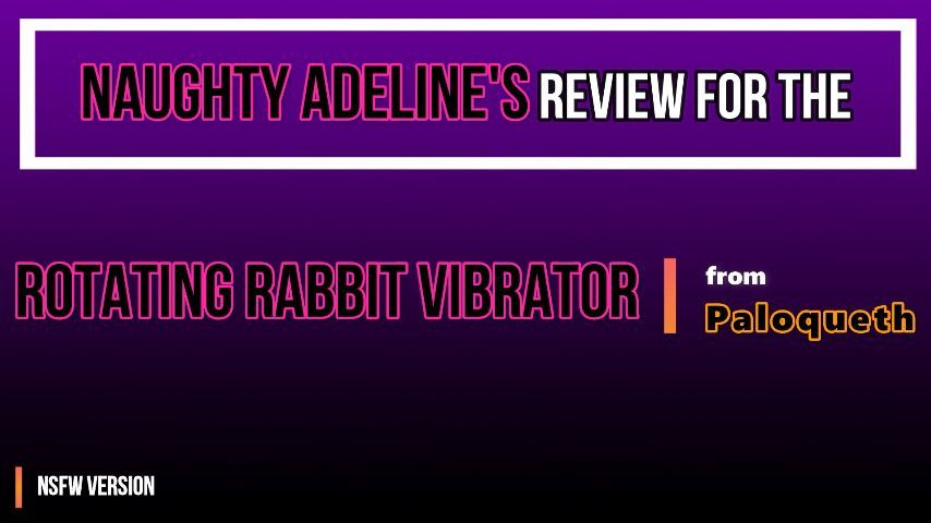 REVIEW: Rotating Rabbit Vibrator NSFW