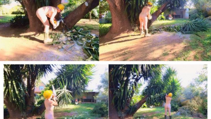 Naked Trimming A Tree