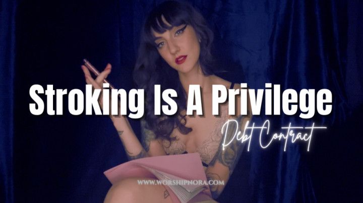 Stroking Is A Privilege - Debt Contract