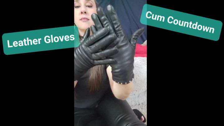 Leather Gloves Cum Countdown