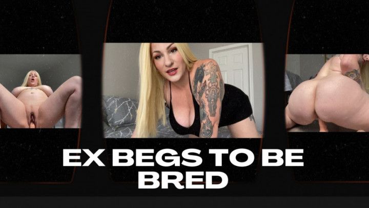 Ex Begs you to Breed Her POV HD