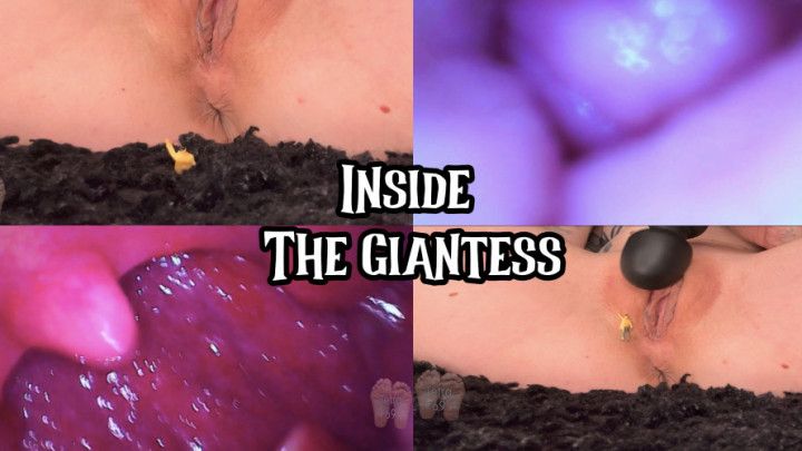 Inside The Giantess