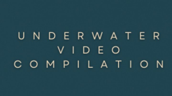 Underwater Video Compilation