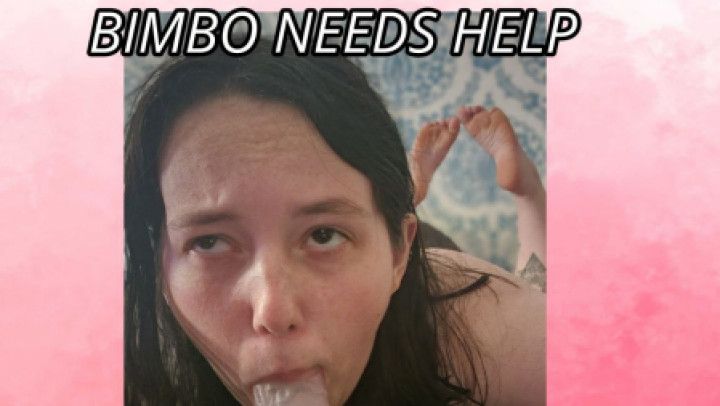 Bimbo Needs Your Help