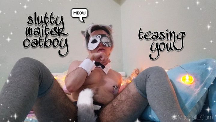 slutty waiter cat-boy teasing you