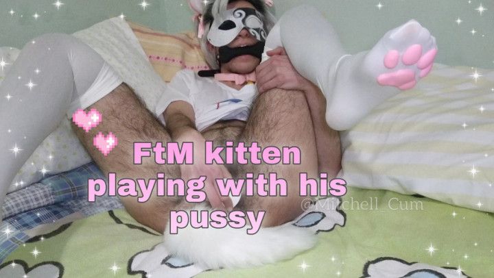 FtM kitten playing with his pussy