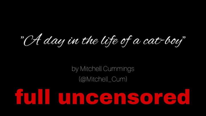 A day in the life of a cat-boy - NSFW