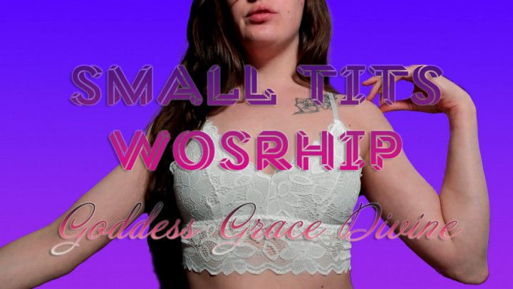Small Tits Worship