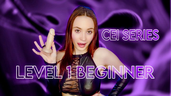 THE CEI SERIES - LEVEL1 BEGINNER