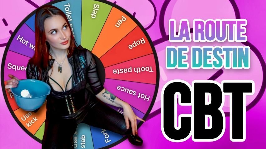 Roue du Destin - CBT TASKS French Version