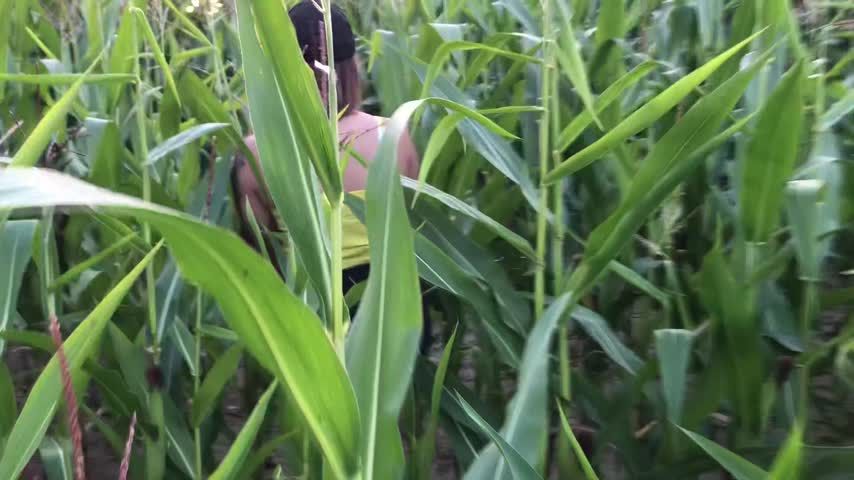 Fucked in the corn field - That's the wa