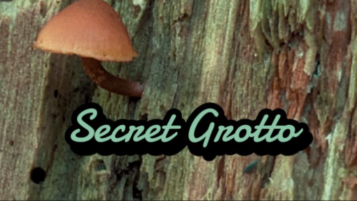 Outdoor Strip - Secret Grotto