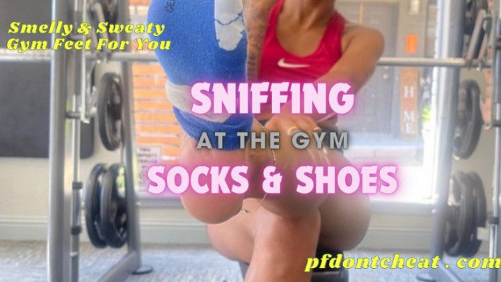 Sniffing Socks and Shoes at the Gym