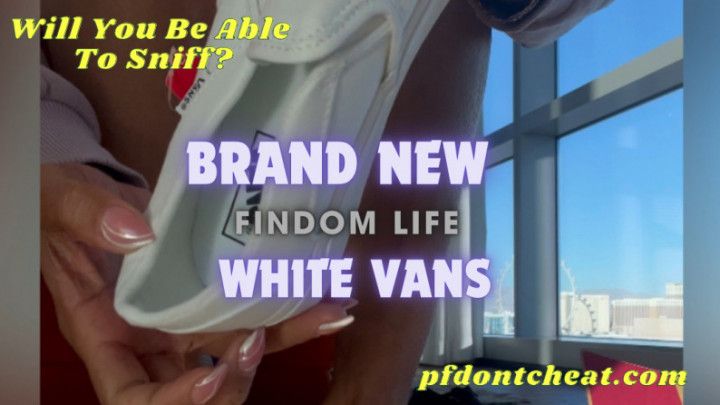 Brand New Vans