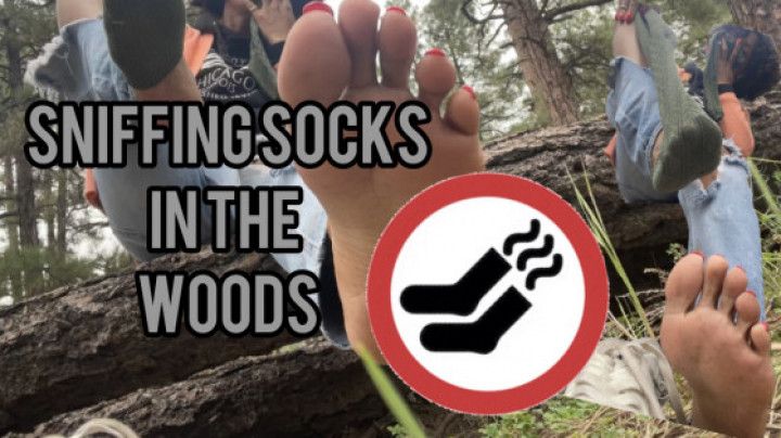 Sniffing Stinky Socks in the Woods