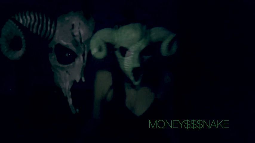 MONEY$$$NAKE HALLOWEEN: THE BEGINNING